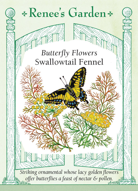 Fennel Swallowtail