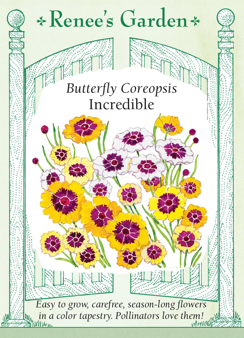 Coreopsis Incredible