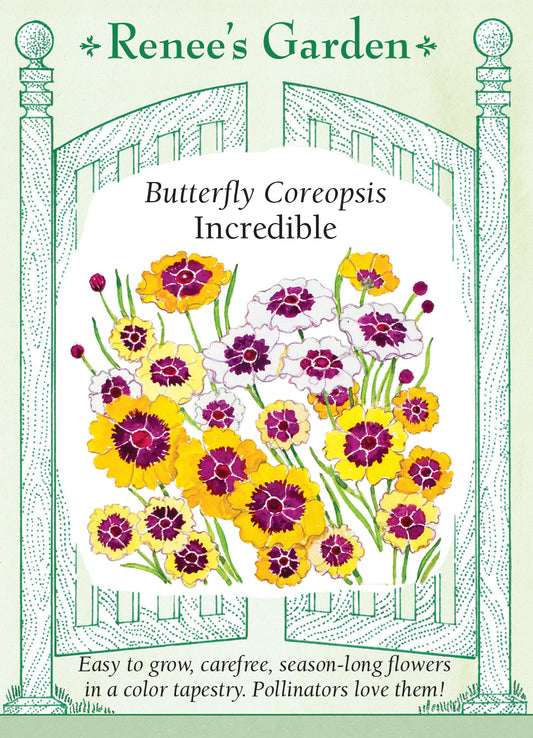 Coreopsis Incredible