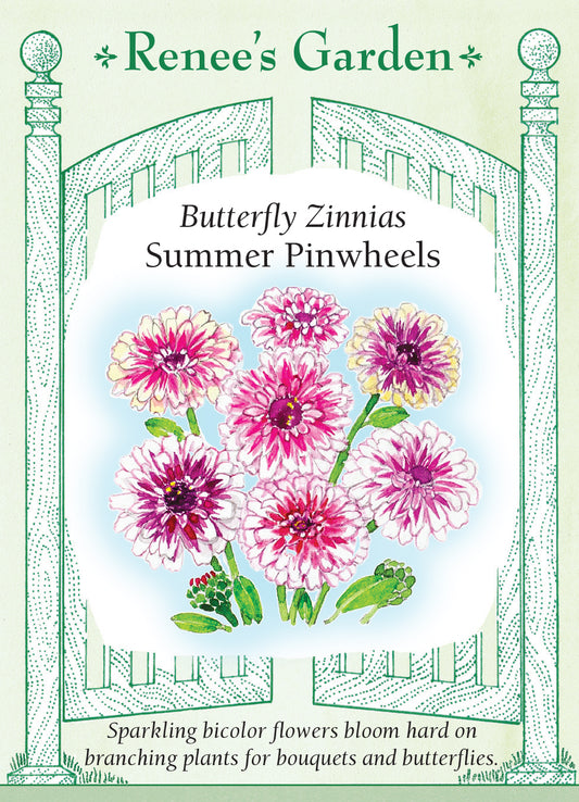Zinnia Summer Pinwheels