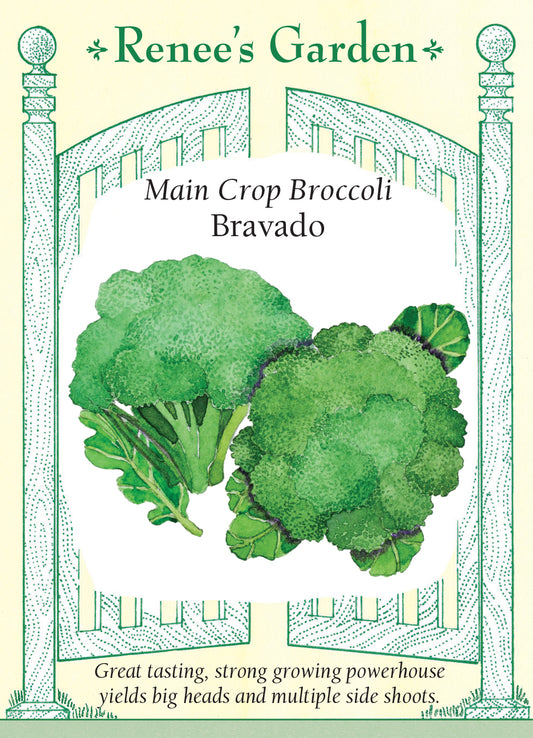 Broccoli Bravado