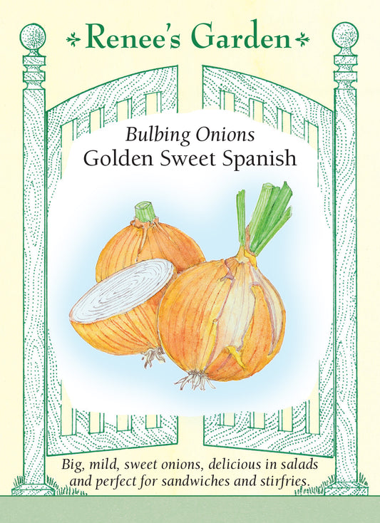 Onion Golden Sweet Spanish