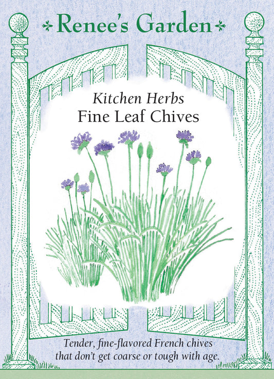 Chives Fine Leaf
