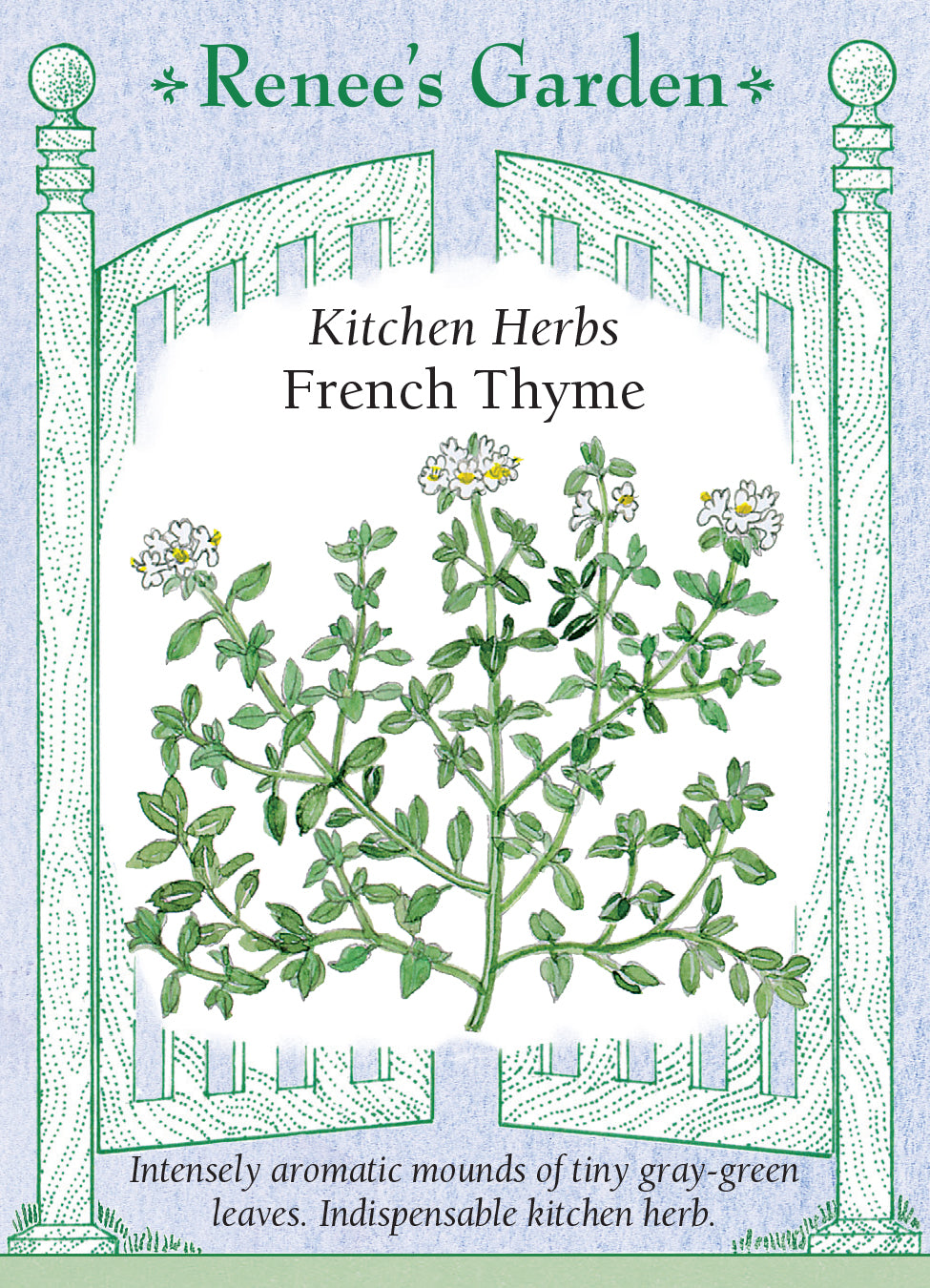 Thyme French
