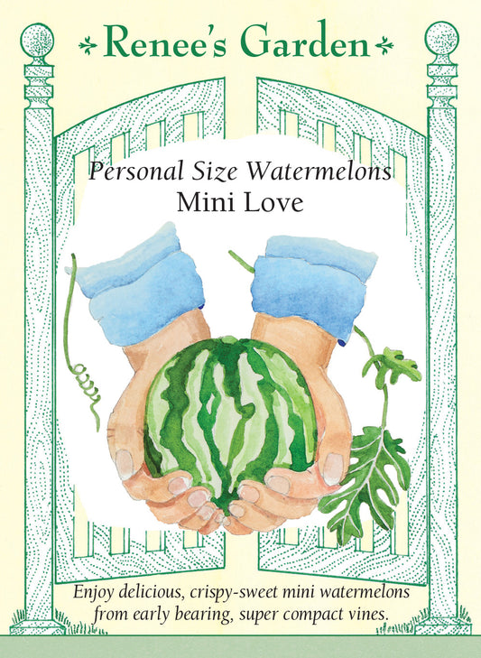 Watermelon Mini Love