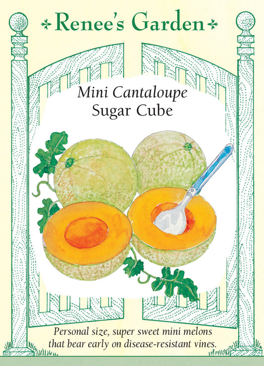 Melon Cantaloupe Mini Sugar Cube