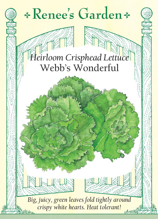 Lettuce  Webb's Wonderful Crisphead