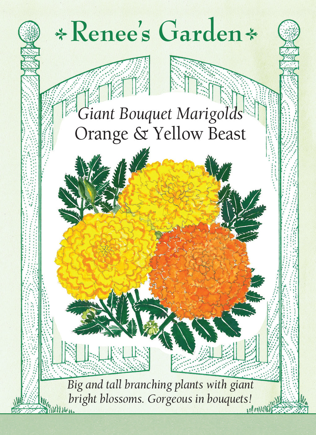 Marigold Orange & Yellow Beast