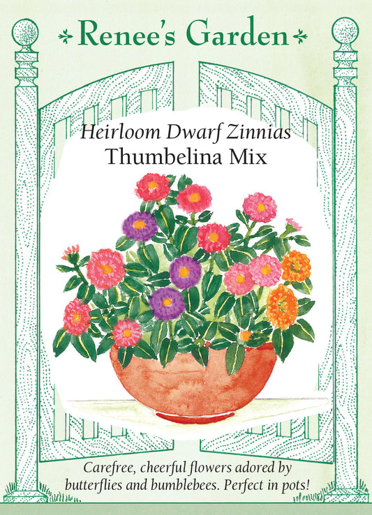 Thumbelina Thumbelina Dwarf Mix