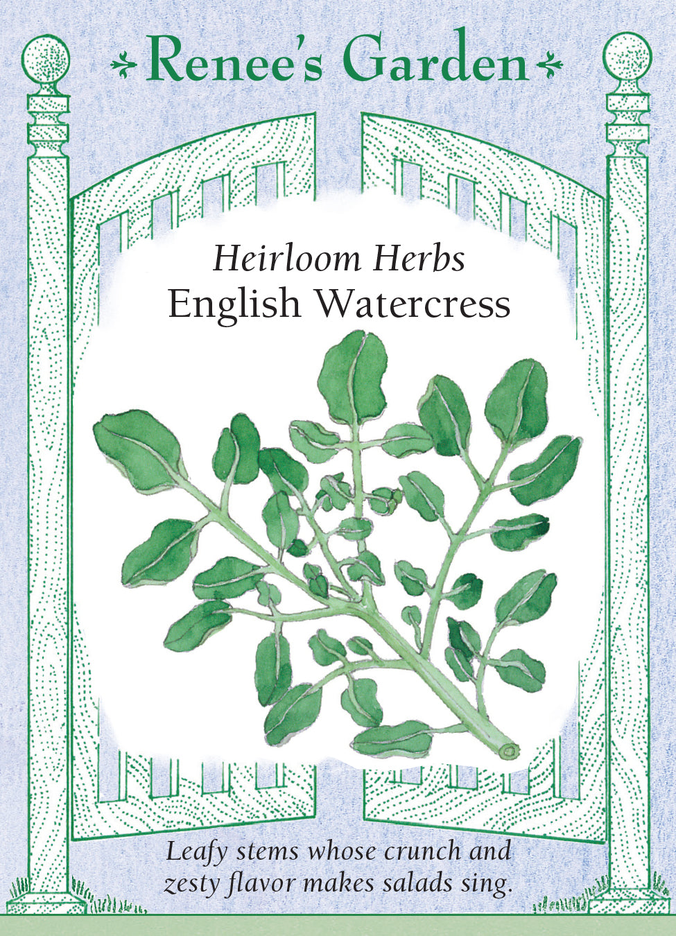 Watercress English