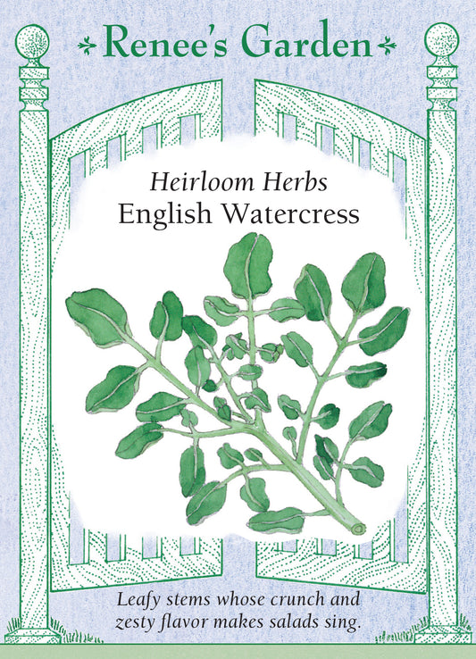 Watercress English