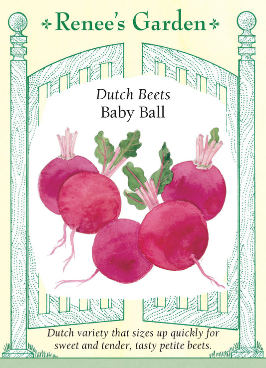 Beet Baby Ball