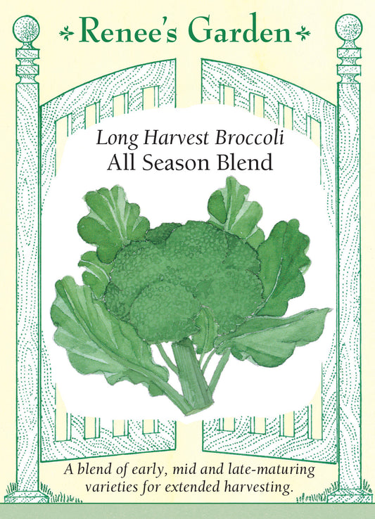 Broccoli All Season Blend