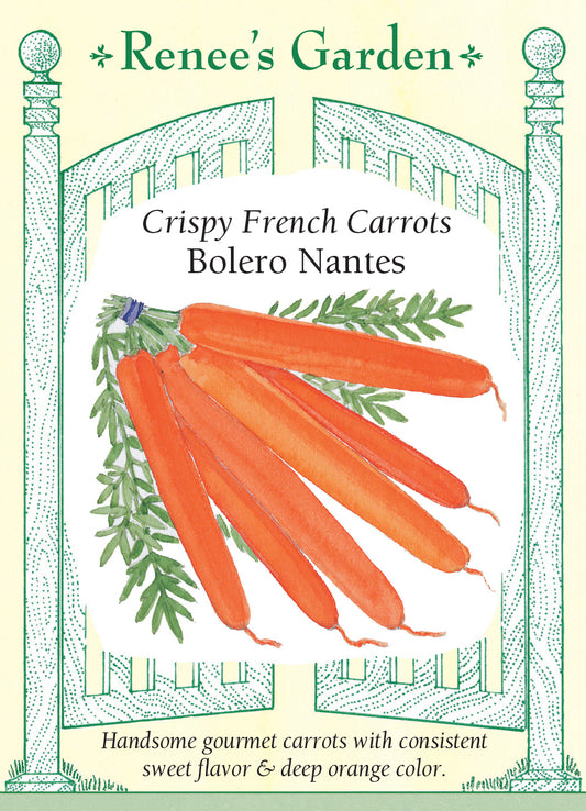 Carrot Bolero