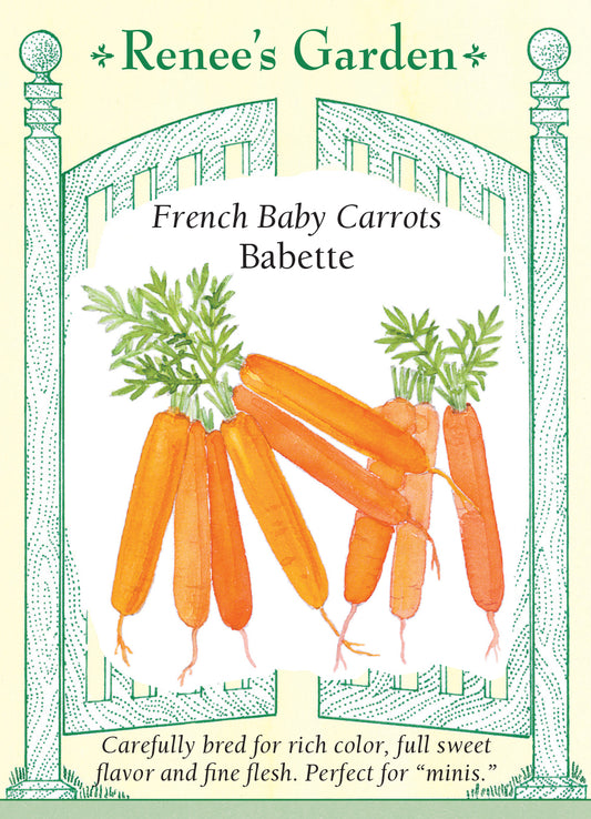 Carrots Babette