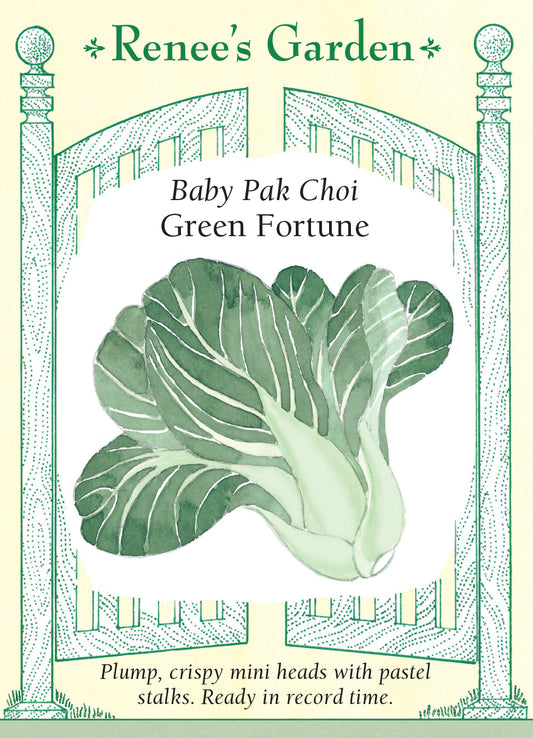 Pak Choy Green Fortune Baby