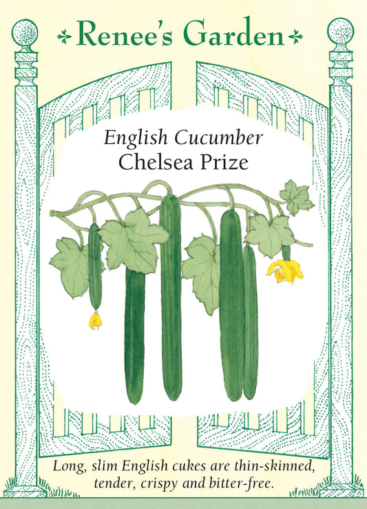 Cucumber Chelsea Prize