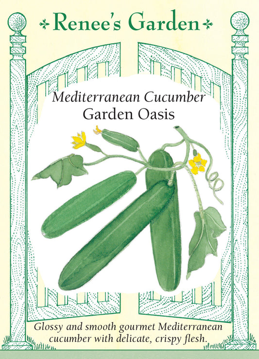 Cucumber Garden Oasis