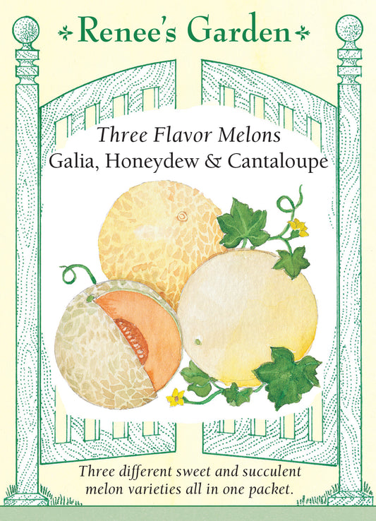 Melon Three Flavor Mix