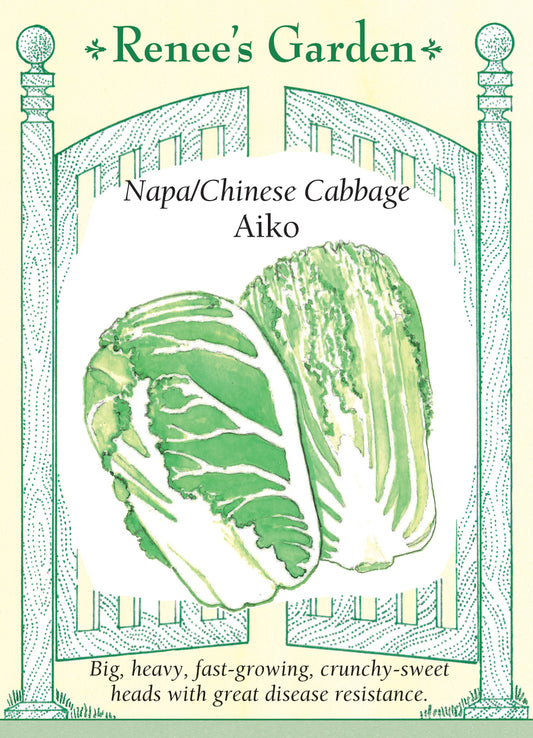 Cabbage Napa Aiko