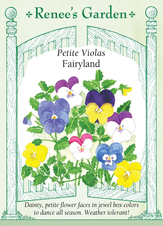 Viola Fairyland