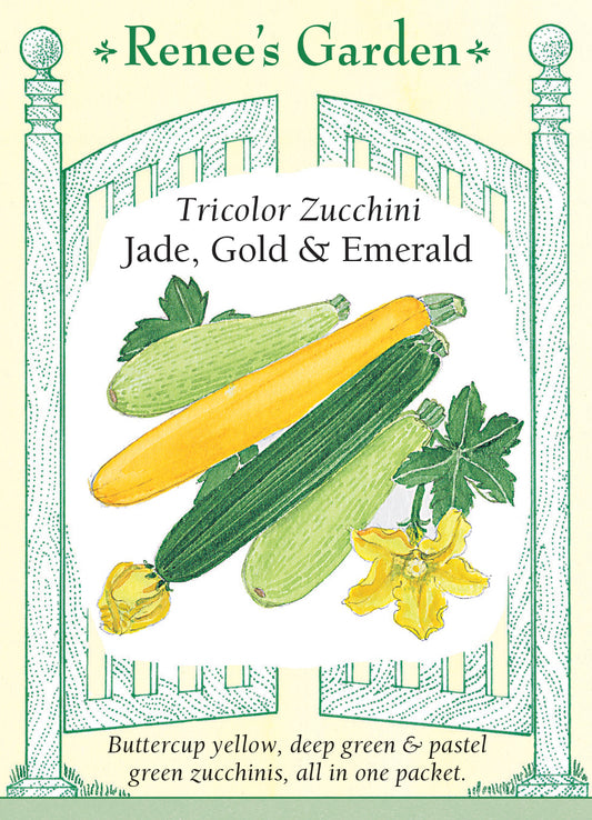 Squash Summer  Zucchini Tricolor Mix