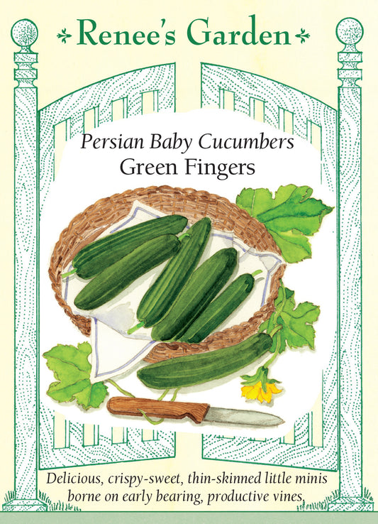 Cucumber Green Fingers Persian