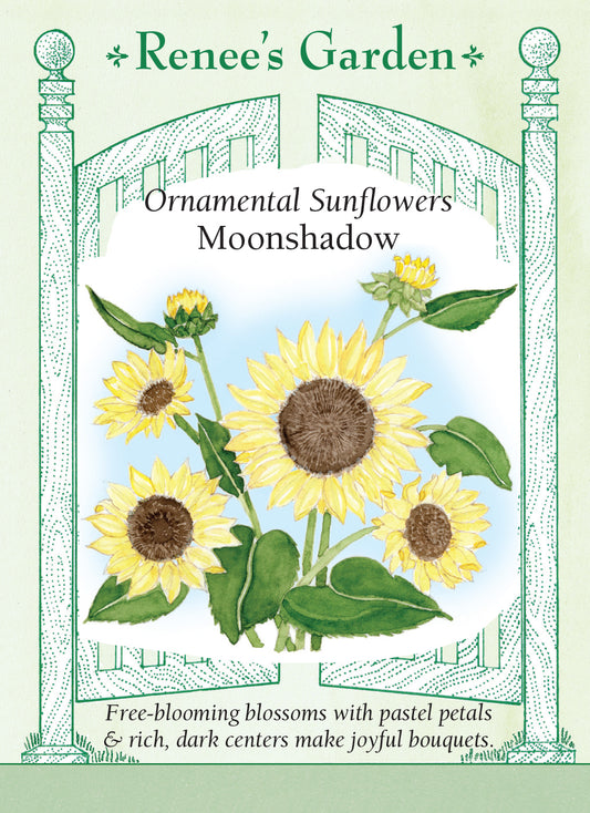 Sunflower Moonshadow