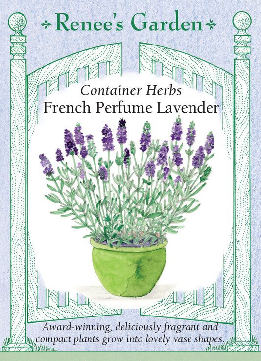 Lavender Fernleaf