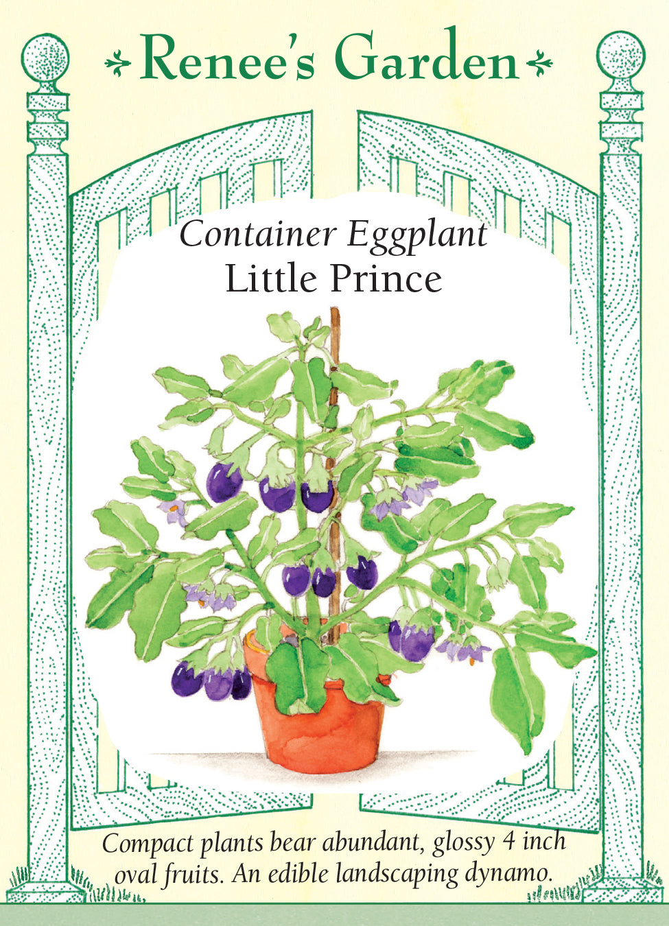 Eggplant Little Prince Container