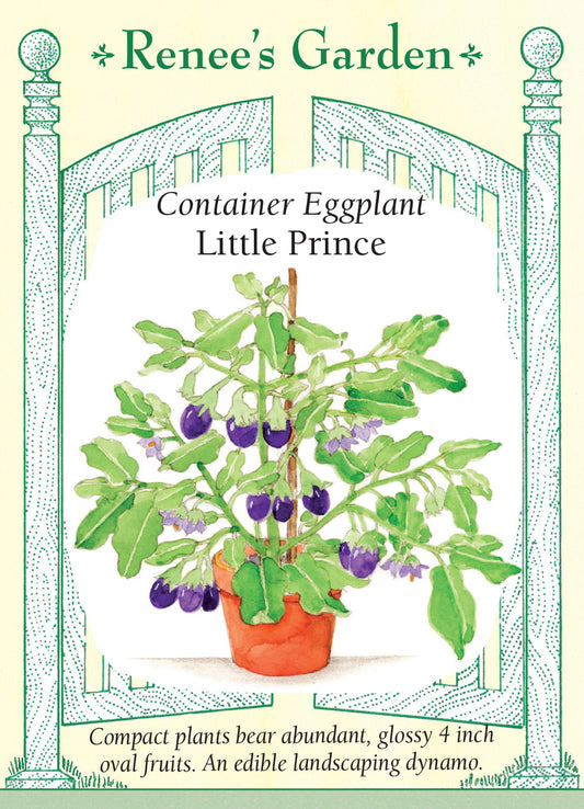 Eggplant Little Prince Container