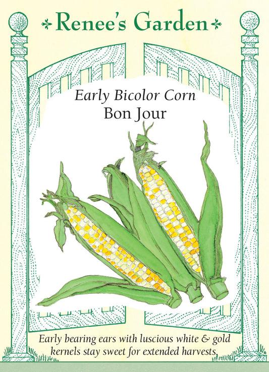 Corn Bon Jour Early Bicolor