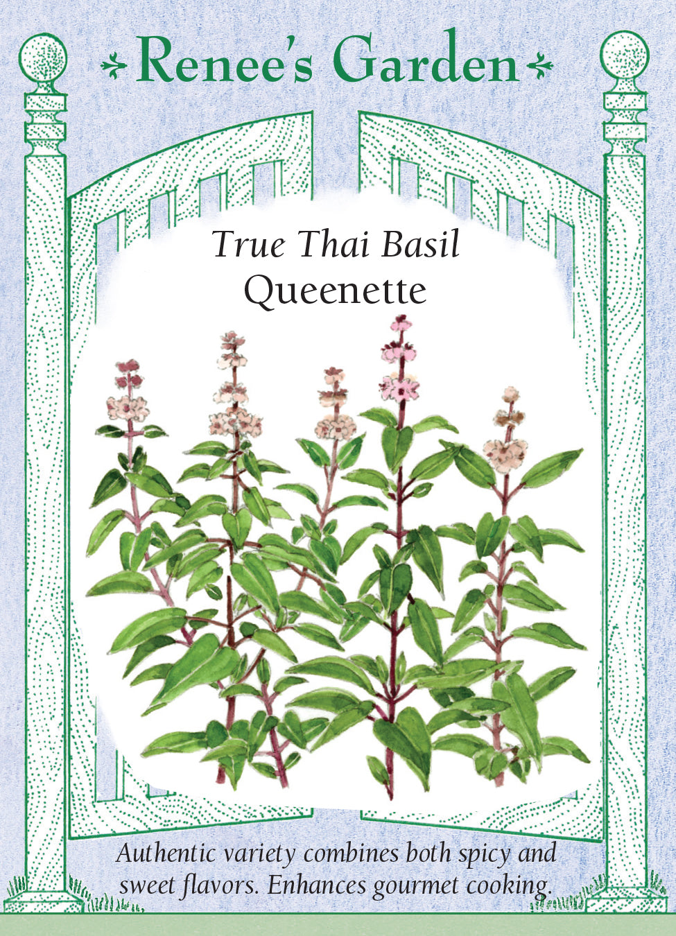 Basil Queenette Thai