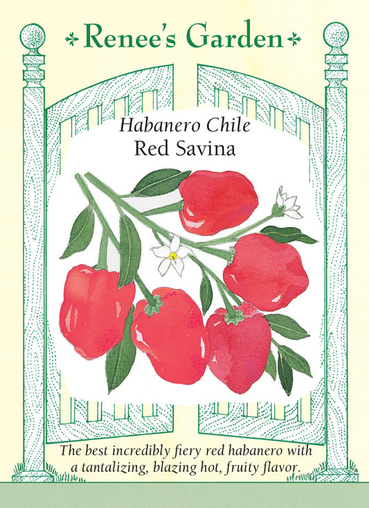 Pepper Chile Habanero Red Savina