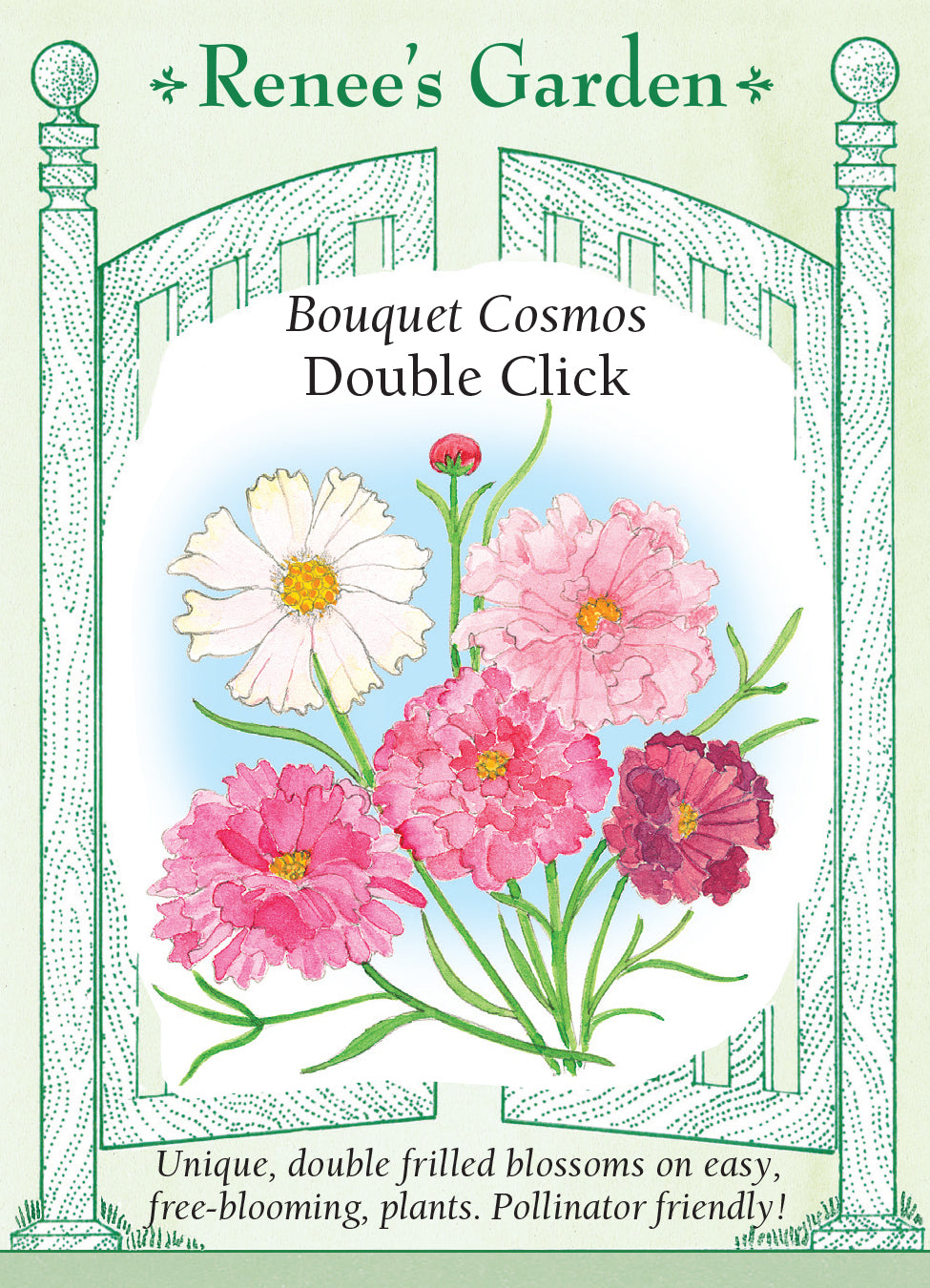 Cosmos Double Click