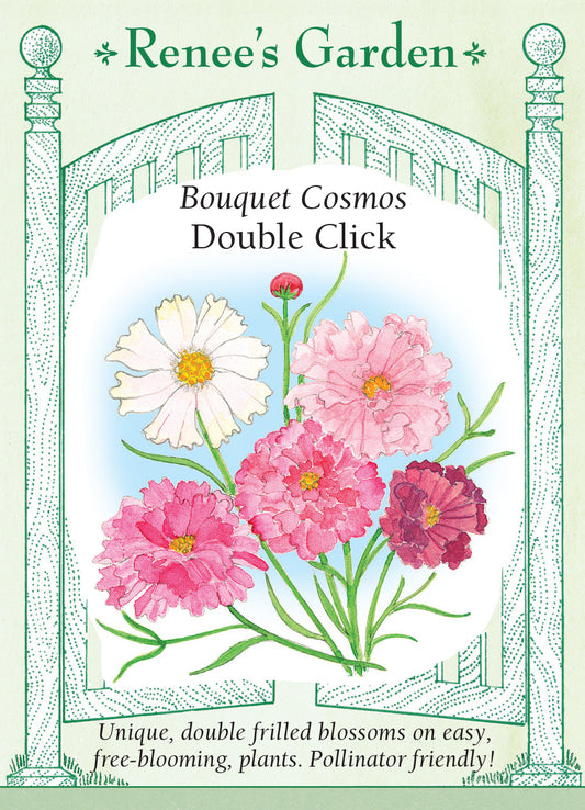 Cosmos Double Click