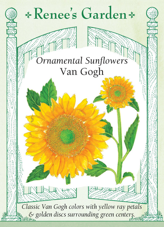 Sunflower  Van Gogh