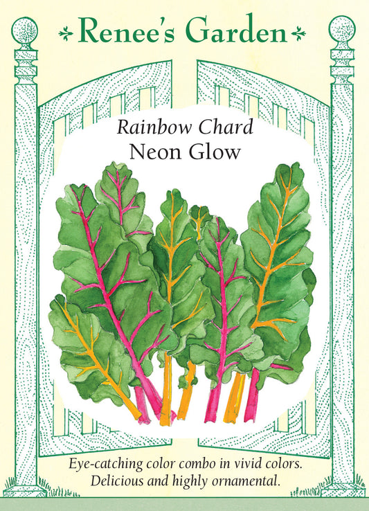 Chard Neon Glow Mix