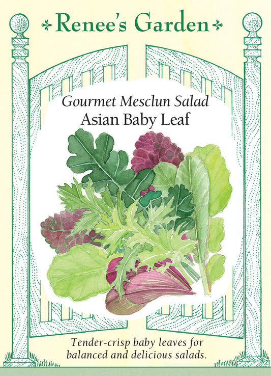 Lettuce Asian Baby Leaf Mix