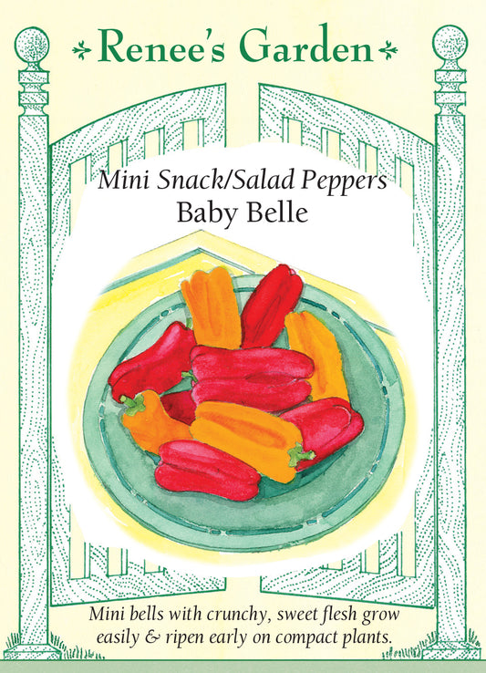 Pepper Sweet Baby Belle Minis