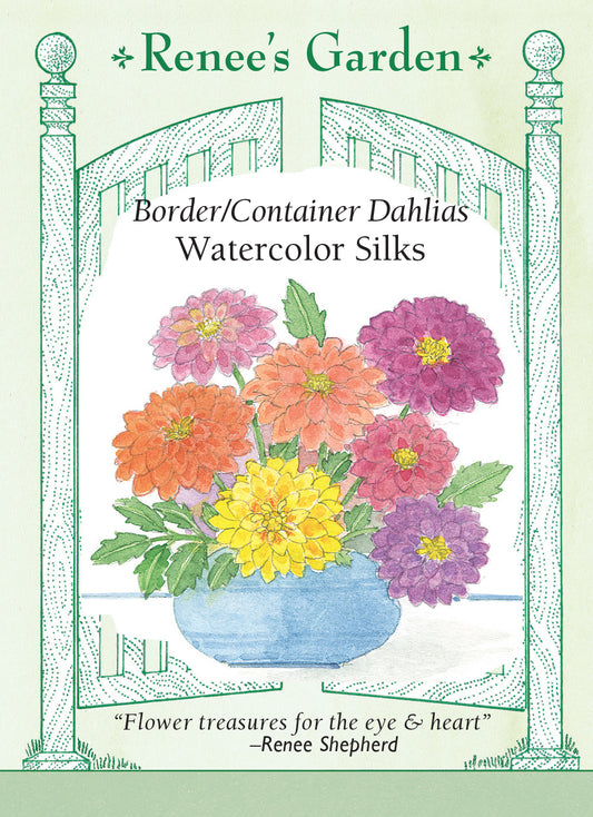 Dahlia Watercolor Silks Dwarf