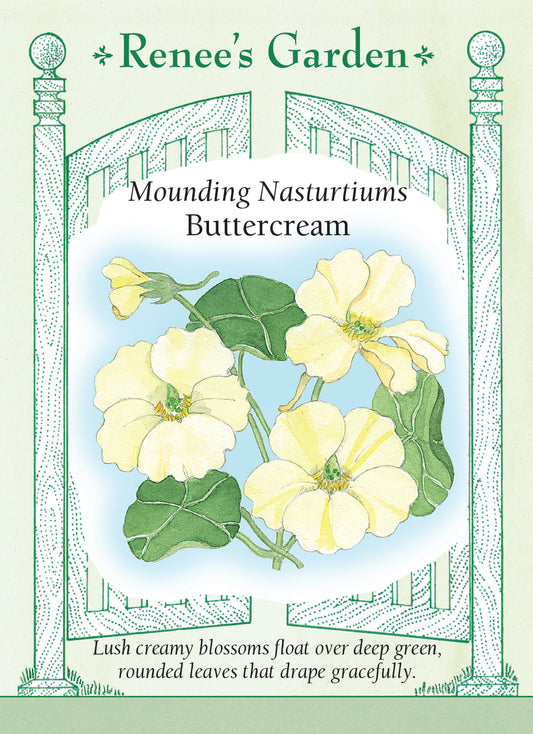 Nasturtium Buttercream