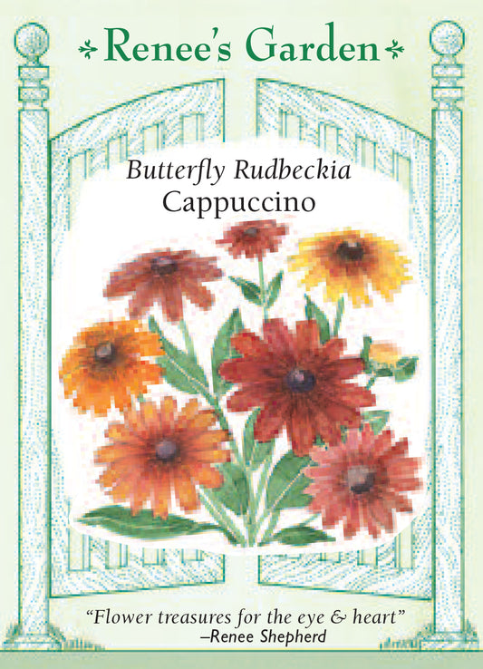Rudbeckia Cappuccino