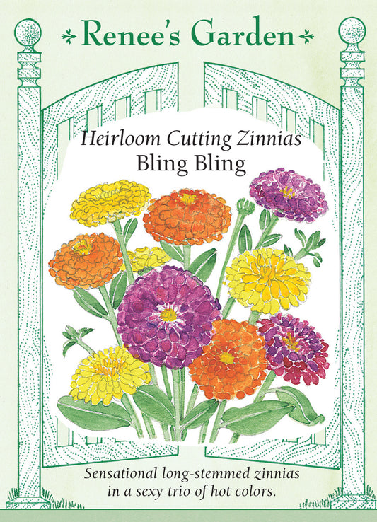 Zinnia Bling Bling