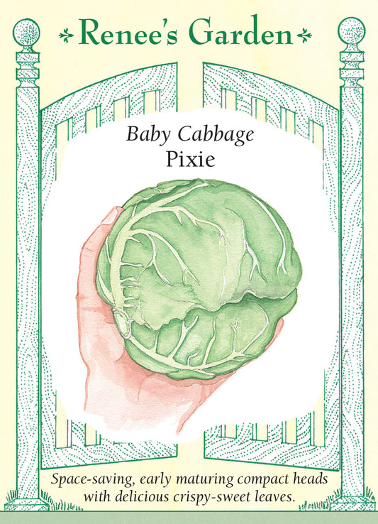 Cabbage Pixie
