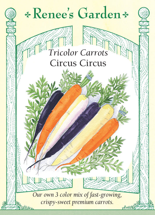Carrot Circus Tricolor Mix
