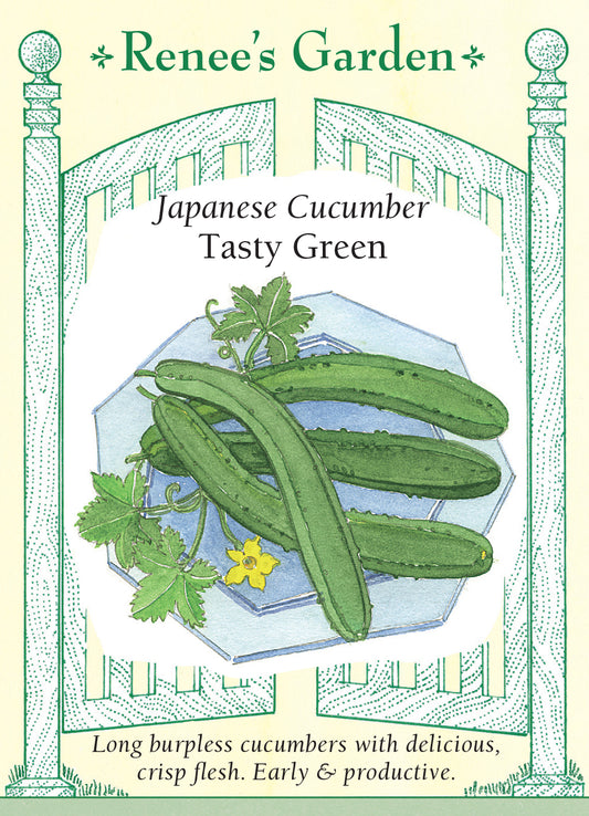 Cucumber Tasty Green Japanese