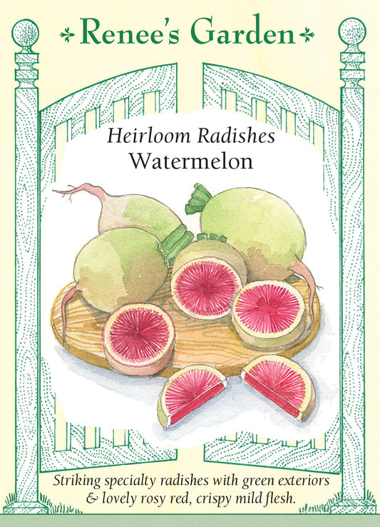 Radish Watermelon