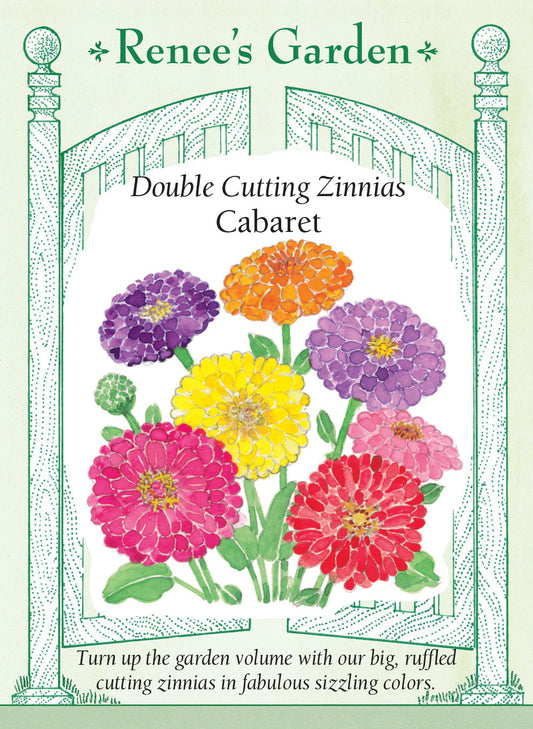 Zinnia Caberet