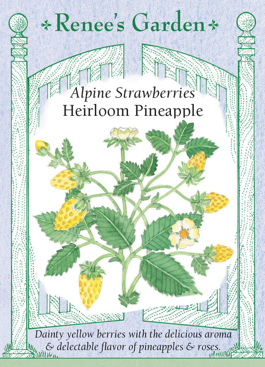 Strawberry Alpine Pineapple